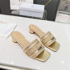 Christian Dior Slippers